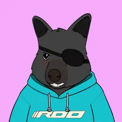 Roo #2531