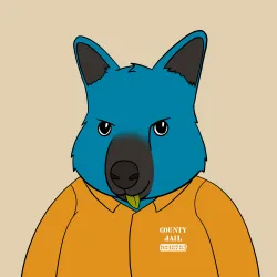 Roo #4999