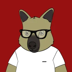 Roo #3823