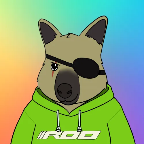 Roo #1582