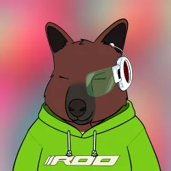 Roo #4070