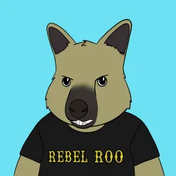 Roo #3531