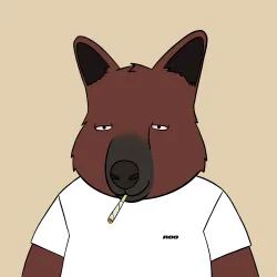 Roo #3614
