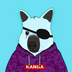 Roo #3508