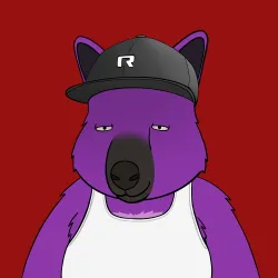 Roo #4305