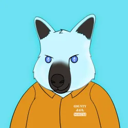 Roo #962
