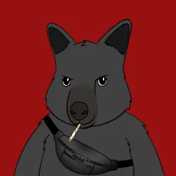 Roo #5086