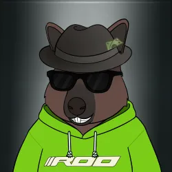 Roo #2223