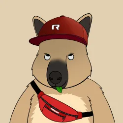 Roo #2216