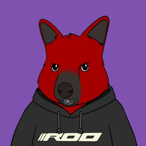 Roo #3385