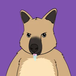 Roo #4905