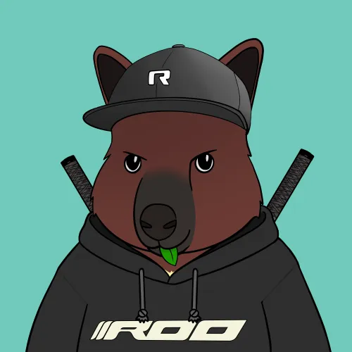 Roo #5155