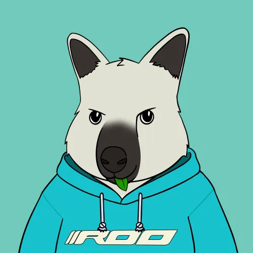 Roo #3595