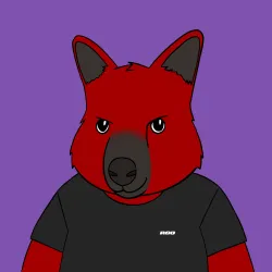 Roo #2498