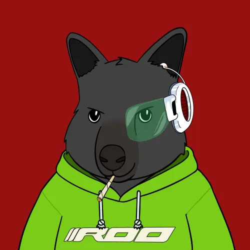 Roo #3662