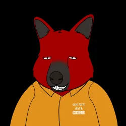 Roo #4003