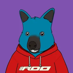 Roo #2646