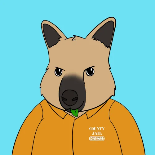 Roo #1797