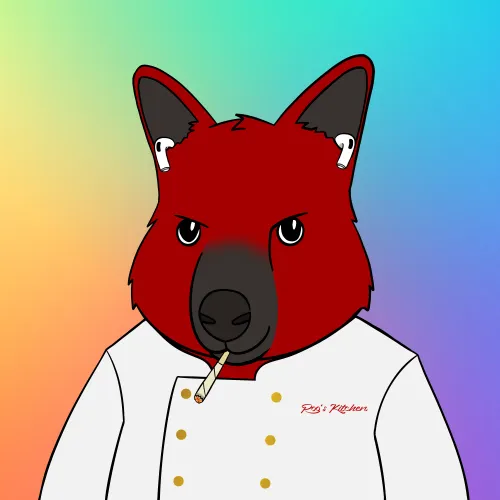 Roo #4488