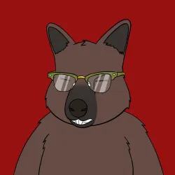 Roo #3172