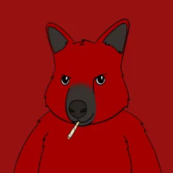 Roo #3815