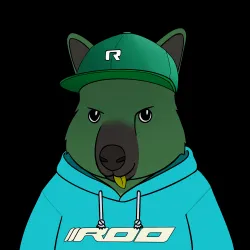 Roo #2570