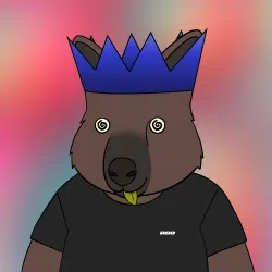 Roo #3368