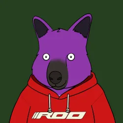 Roo #2649