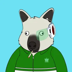 Roo #4244