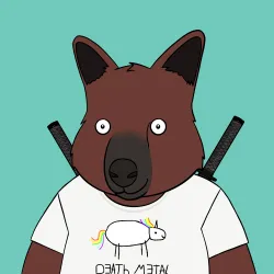 Roo #4259