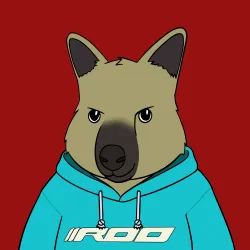Roo #3902