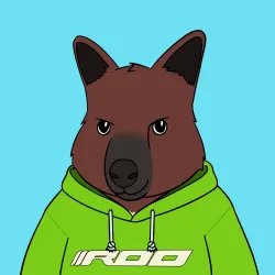 Roo #3758