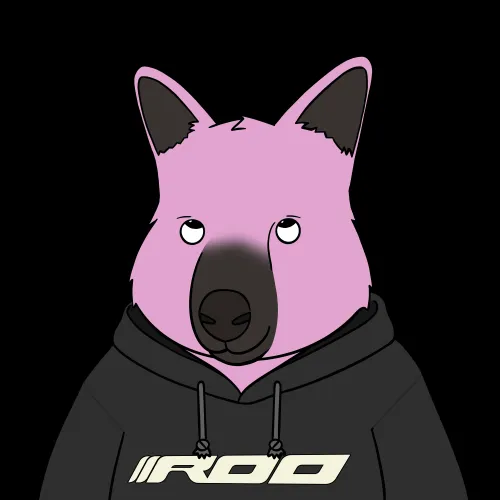 Roo #1167