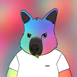 Roo #700
