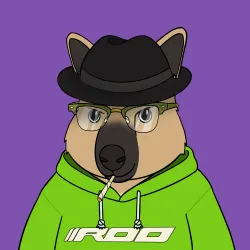 Roo #2335
