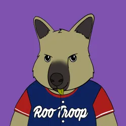Roo #4331