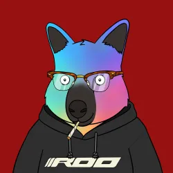 Roo #4782