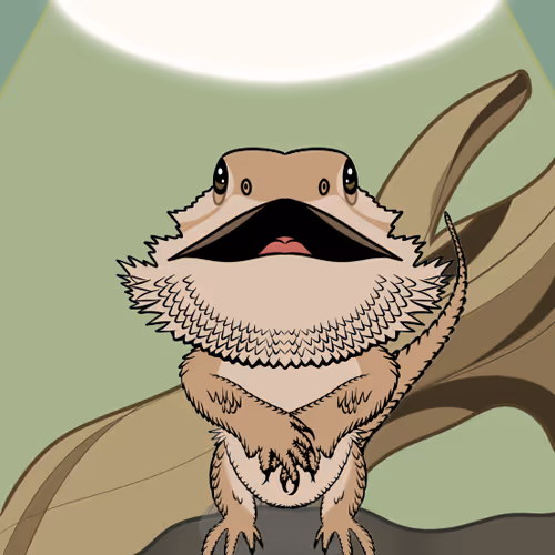 Bearded Dragon By Justchasingsparkles X Reddit Col