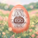 EGG GEAR