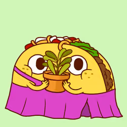 Taco #5266