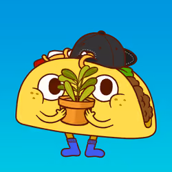 Taco #571