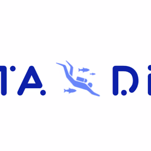 Data Dive Community
