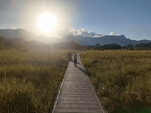 338879838351122210881844366308986338990