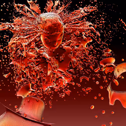 196280647762506576340661940719651623284