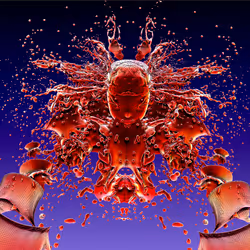 85534636212041993909929965299759033039