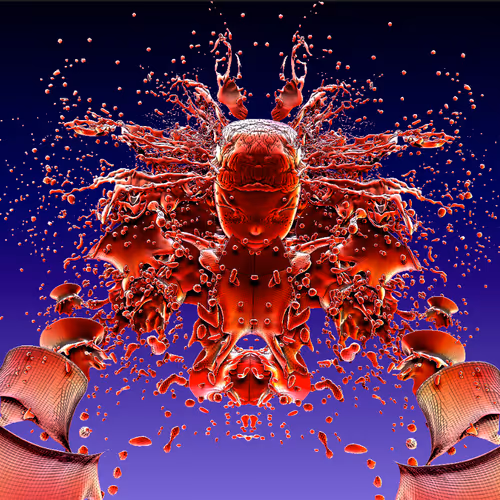 85534636212041993909929965299759033039