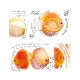 248