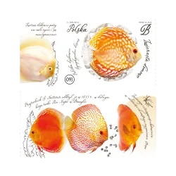 364