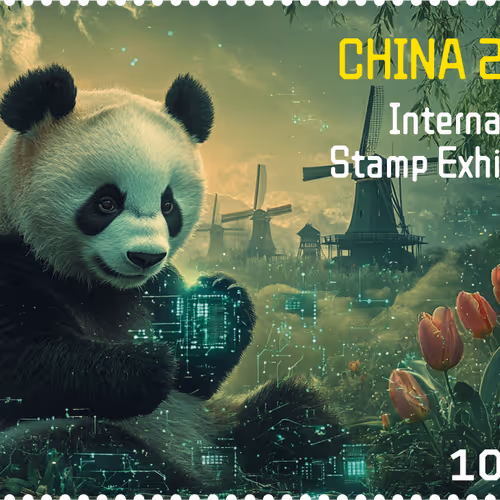 Panda  熊猫