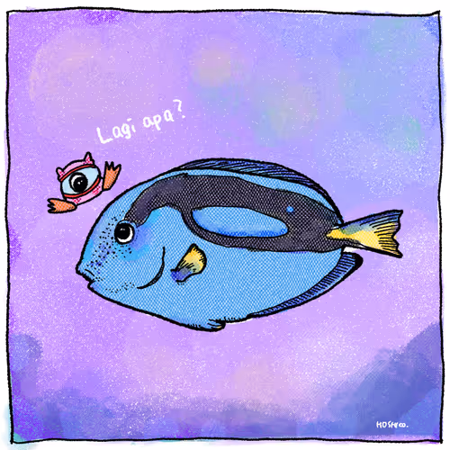 pipi